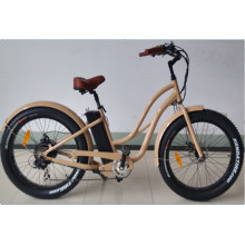 Step Through Snow Ebike Fat Tire Electric Bicycle for Ladies